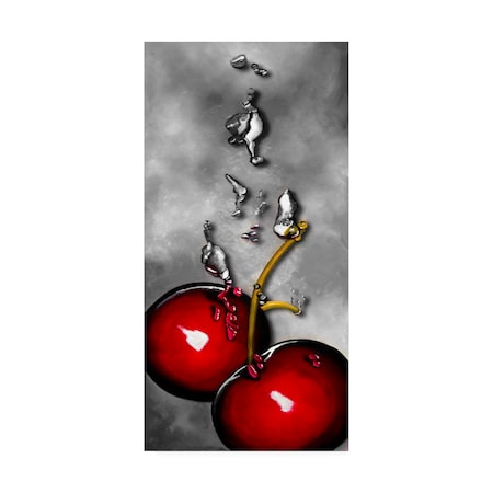 Trademark Fine Art Roderick Stevens 'Cherry Splash over Marble' Canvas Art, 24x47 RS01309-C2447GG